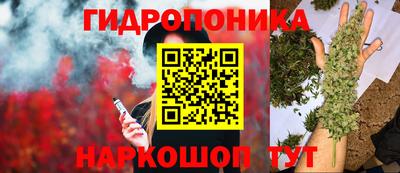 хмурый Гай