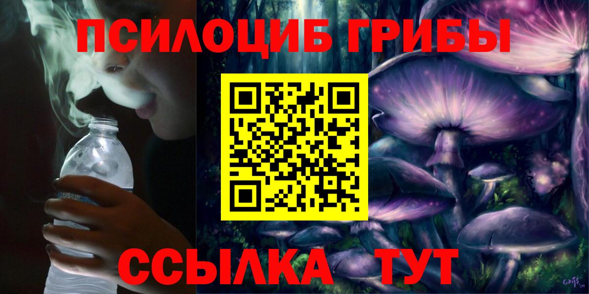 Псилоцибиновые грибы прущие грибы Обь
