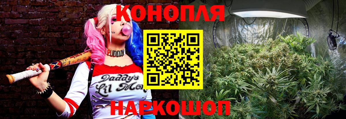 Бошки марихуана тримм Обь